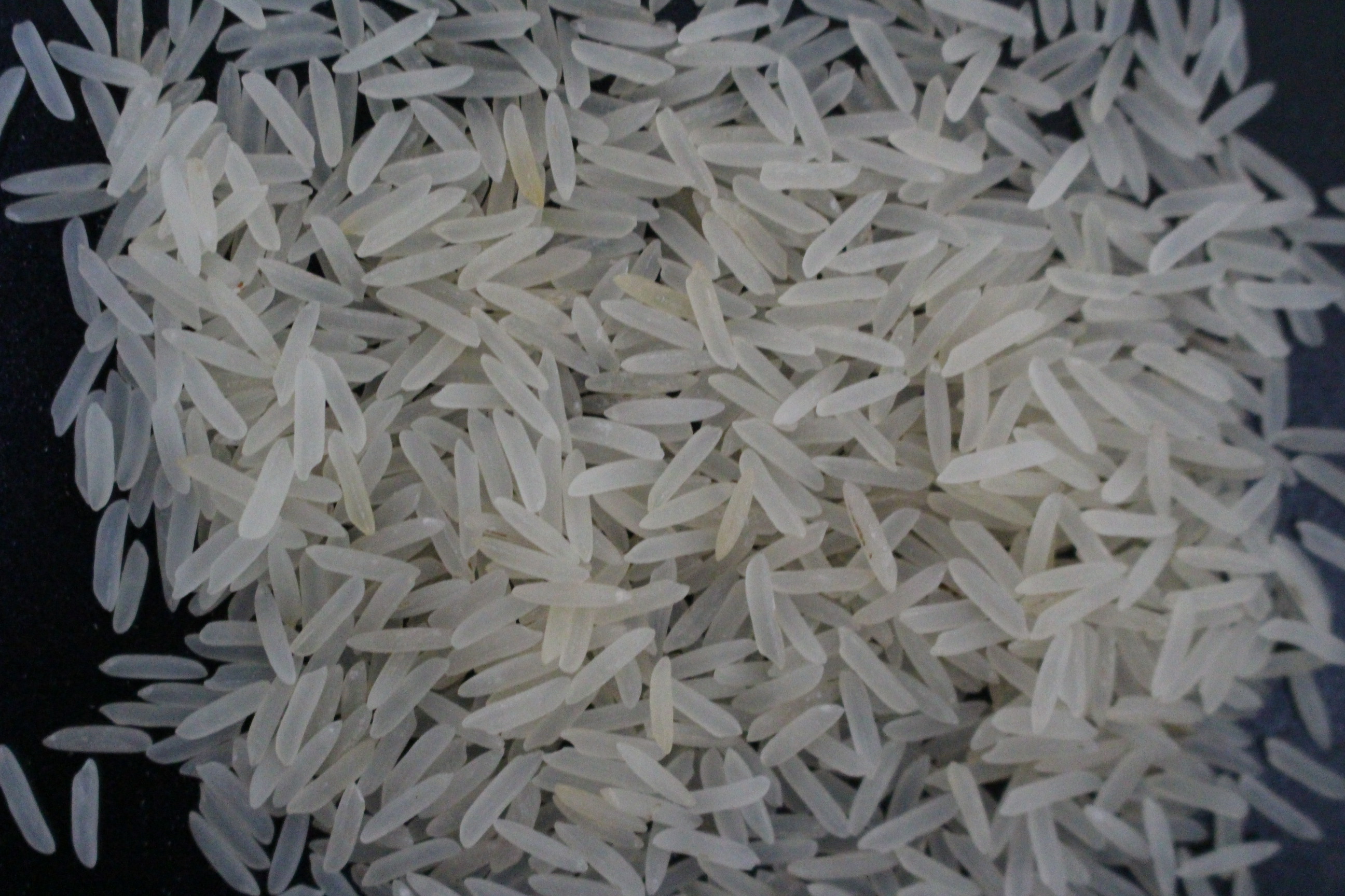 image rice