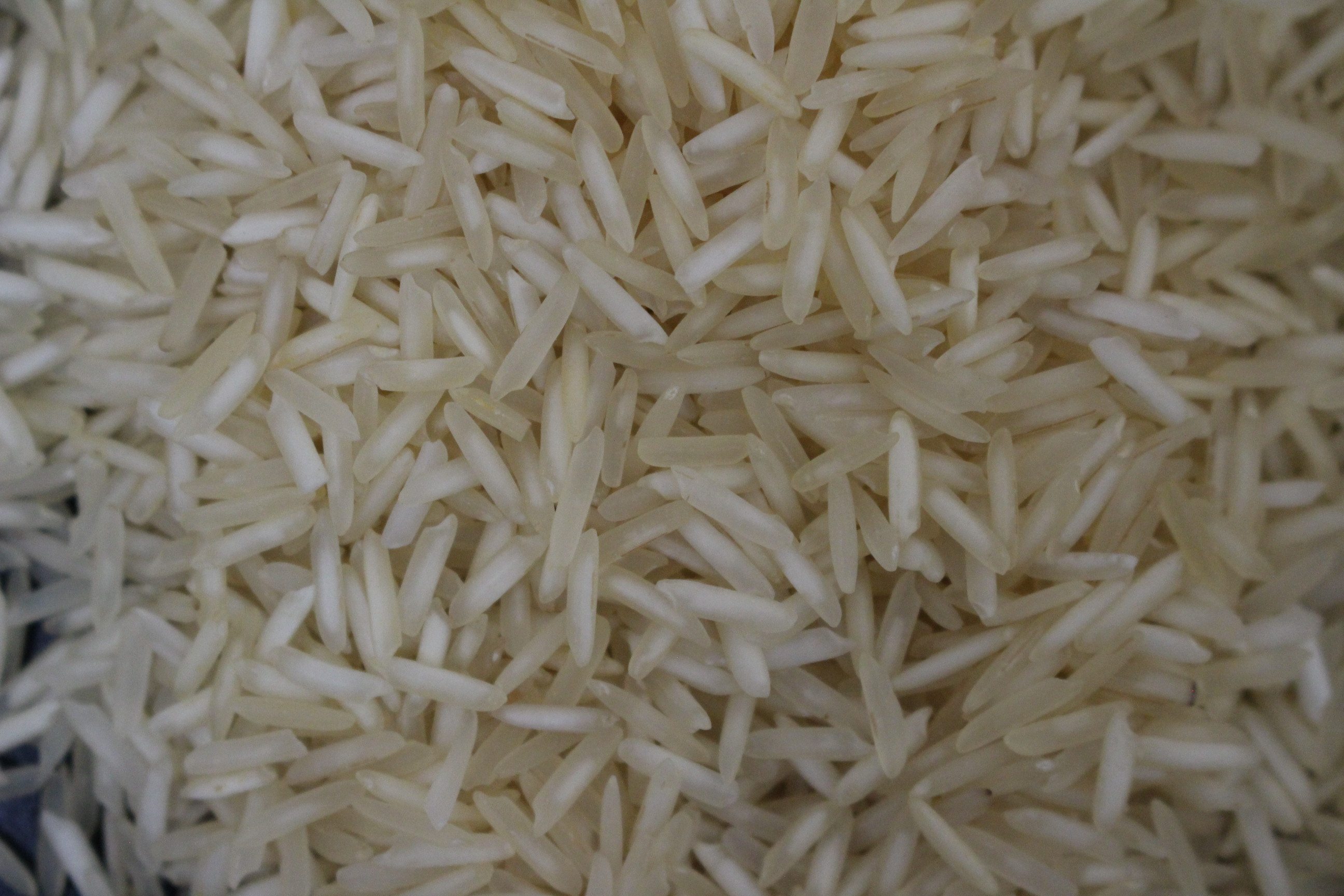 image rice